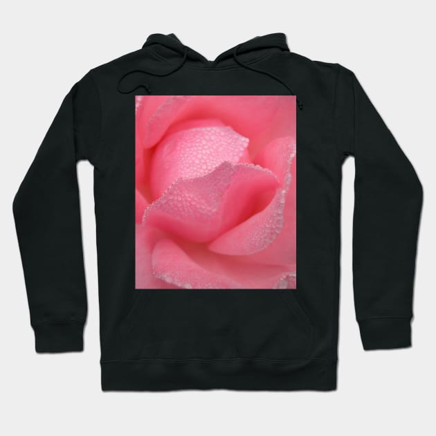 Raindrops Dew on Pink Rose Flower Macro Hoodie by oknoki